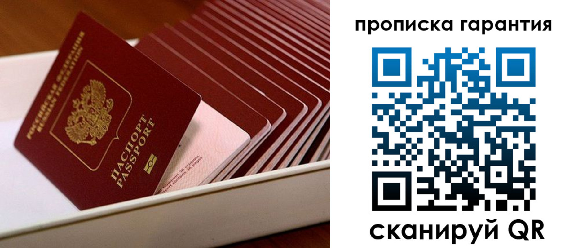 прописка поиск в Прохладном